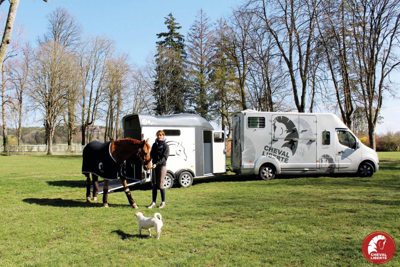 Horse trailer Cheval Liberte Gold 3 2 Stalls 2024 New