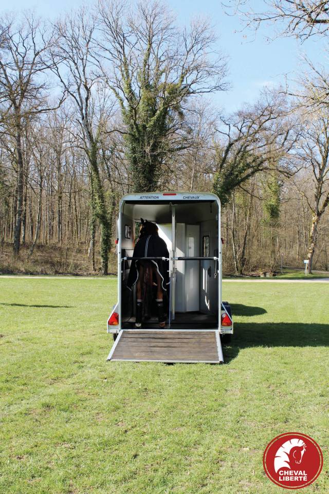 Horse trailer Cheval Liberte Touring country 2 Stalls 2024 New