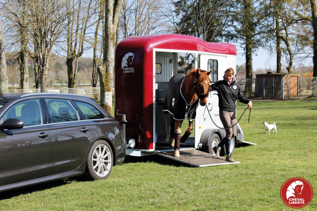 Horse trailer Cheval Liberte Touring country 2 Stalls 2024 New