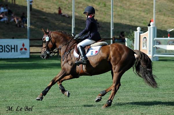 IMPERIAL DU BLIN  - Connemara 1996 by QUETZAL DU BLIN