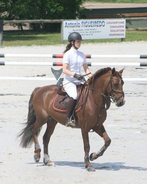 IMPERIAL DU BLIN  - Connemara 1996 by QUETZAL DU BLIN