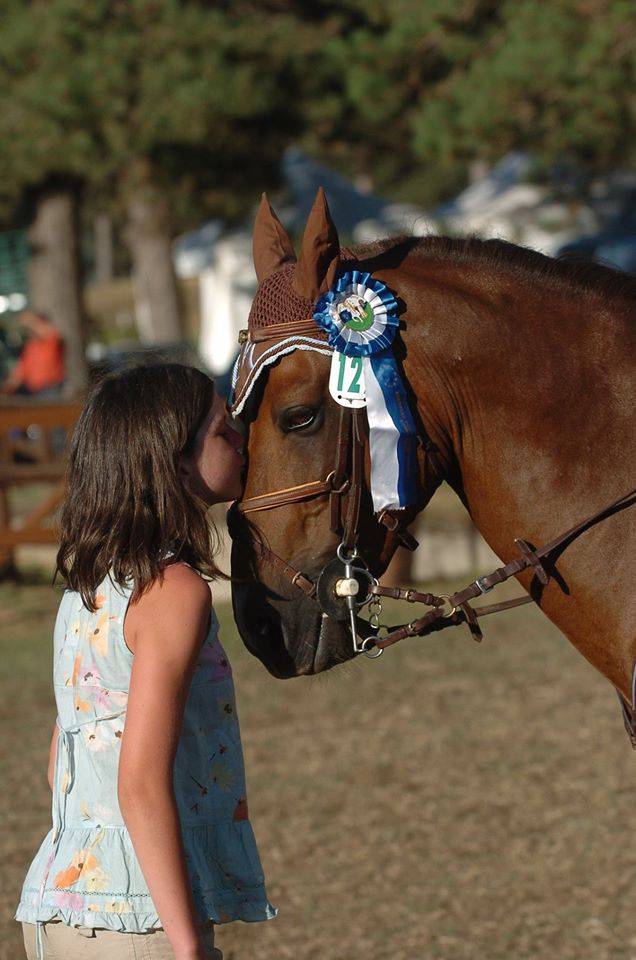 IMPERIAL DU BLIN  - Connemara 1996 by QUETZAL DU BLIN