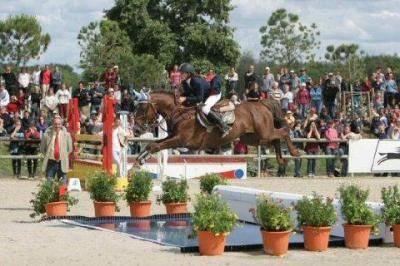 IMPERIAL DU BLIN  - Connemara 1996 by QUETZAL DU BLIN