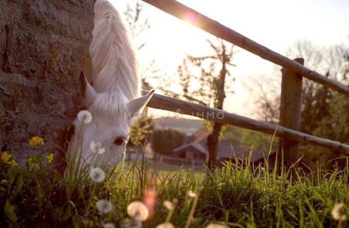 Equestrian property  Gard