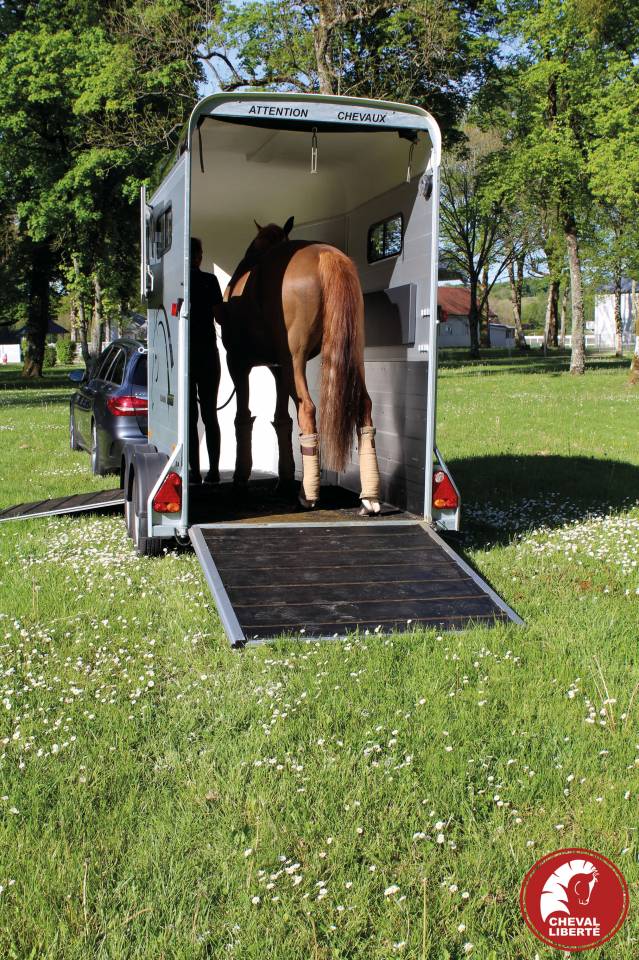 Horse trailer Cheval Liberte Touring one 1,5 Stalls 2024 New