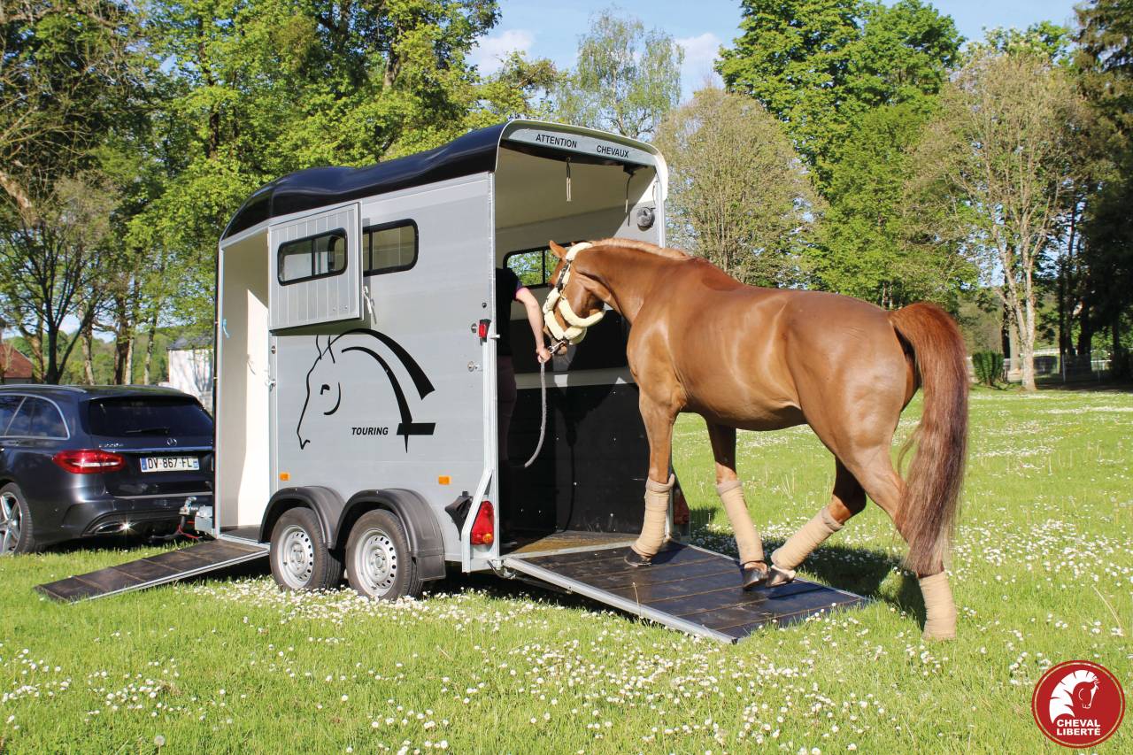 Horse trailer Cheval Liberte Touring one 1,5 Stalls 2024 New