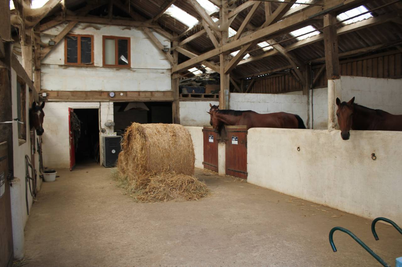 Equestrian property  Sarthe