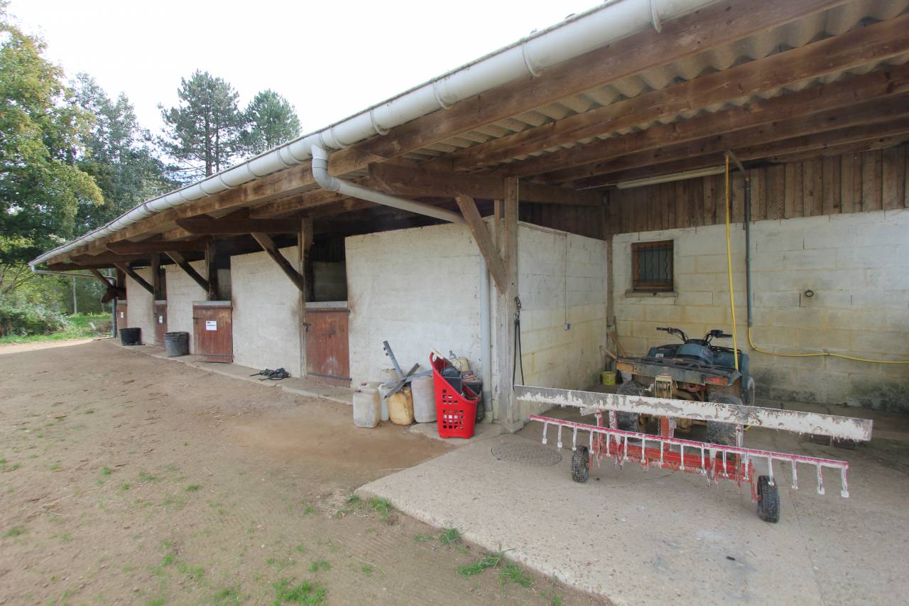 Equestrian property  Sarthe