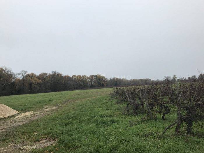 Luxurious equestrian property  Dordogne