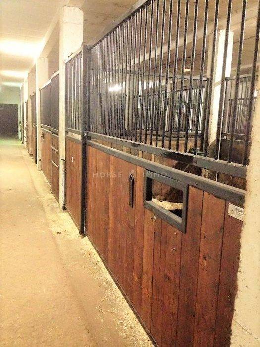 Riding school  Allier