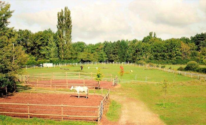 Riding school  Allier