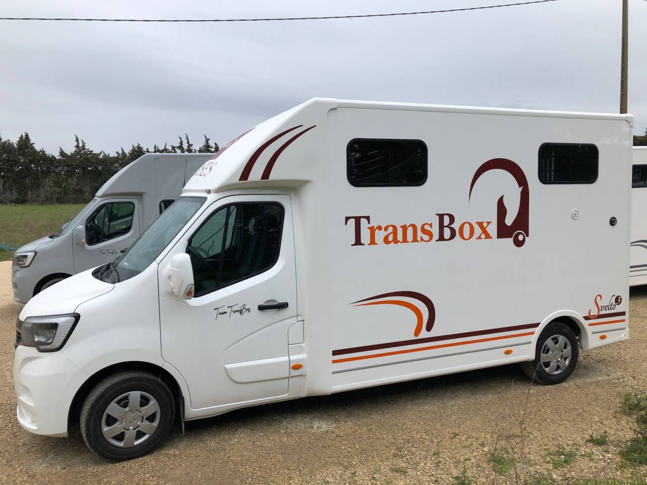 Horsebox HGV Trans Box SVELTO 3S 2024 New