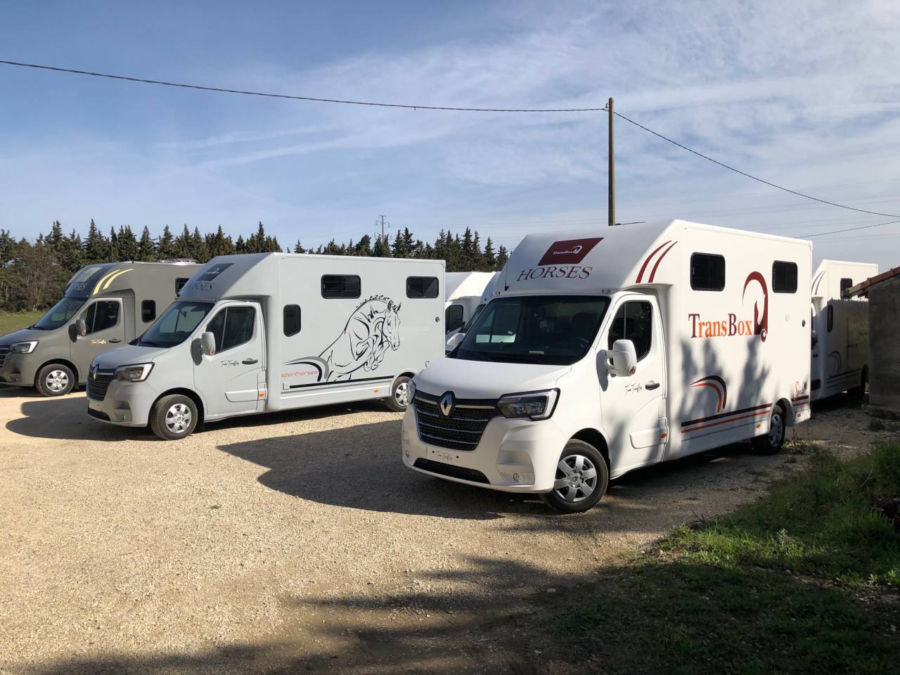 Horsebox HGV Trans Box SVELTO 3S 2024 New