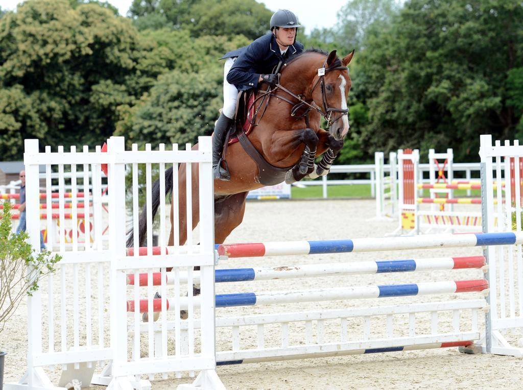 Uncognito bois margot  - Selle Français 2008 by l'arc de triomphe