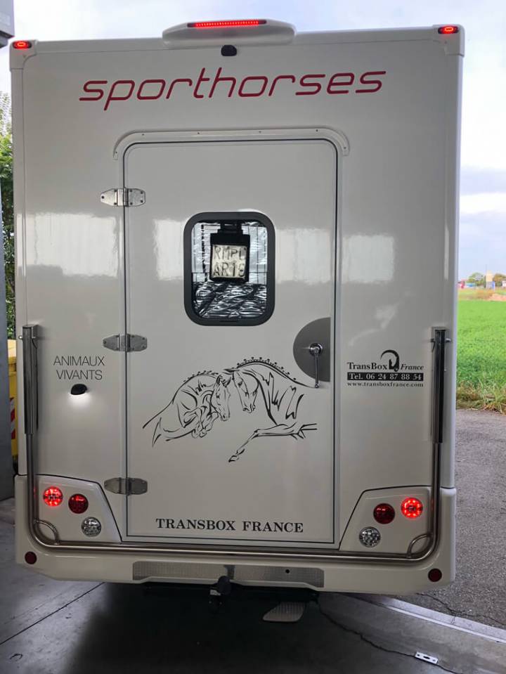 Horsebox HGV Trans Box SVELTO 5 S 2024 New