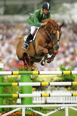 Baloubet du Rouet - Selle Français 1989 by GALOUBET A