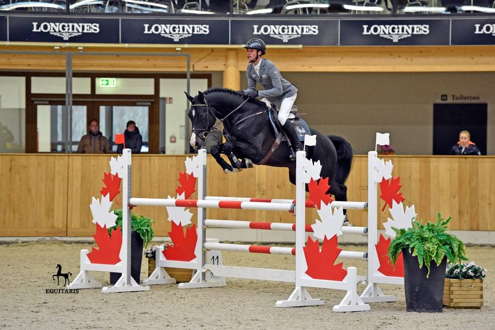 Chubakko - Holsteiner 2013 by connor