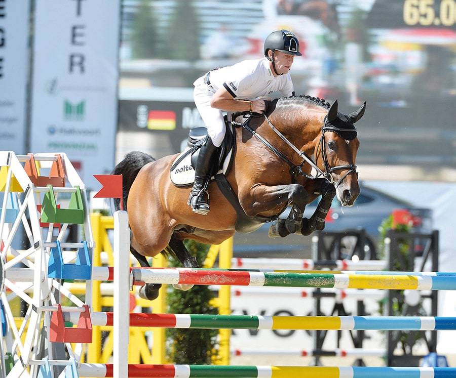 Comme Il Faut - Holsteiner 1997 by CORNET OBOLENSKY