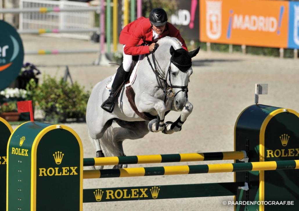 Cornet Obolensky - BWP Belgian Warmblood 1999 by CLINTON