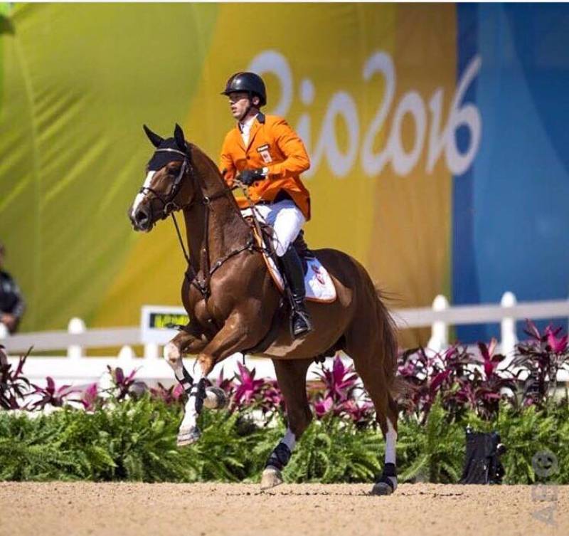 Emerald - BWP Belgian Warmblood 2004 by DIAMANT DE SEMILLY