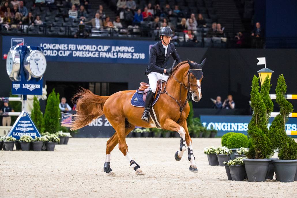 Emerald - BWP Belgian Warmblood 2004 by DIAMANT DE SEMILLY