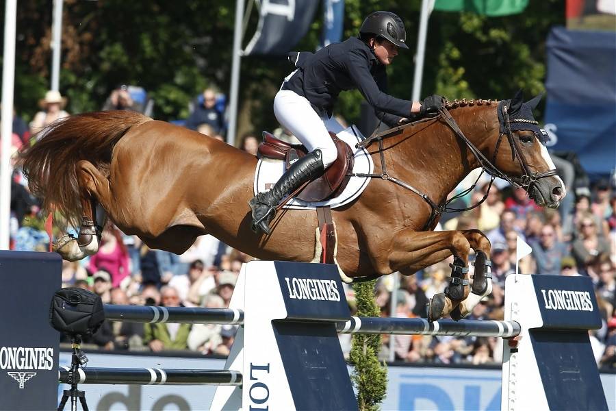 Firth of Lorne - Hanoverian 2004 by FOR PLEASURE