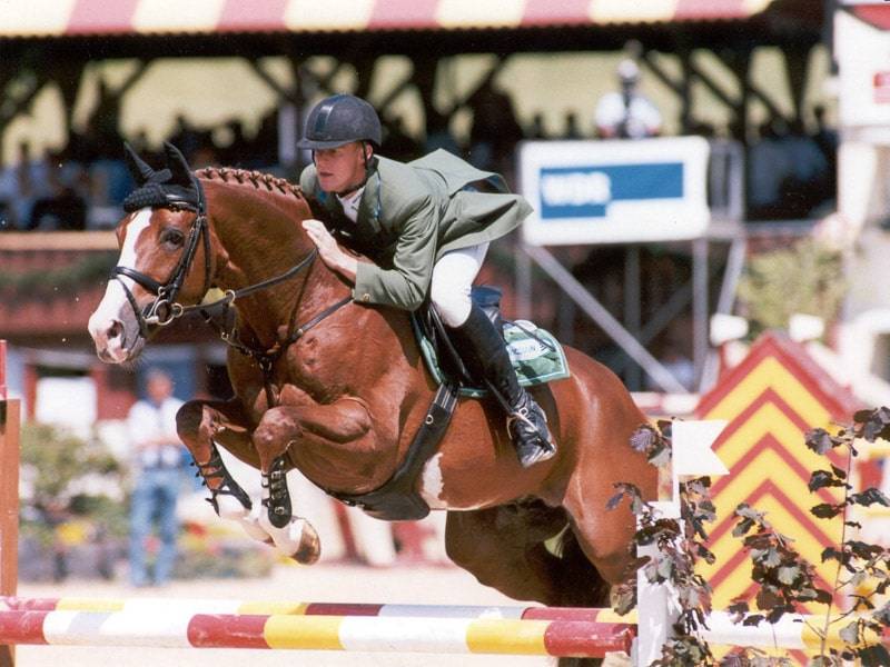 For Pleasure - Hanoverian 1986 by Furioso II