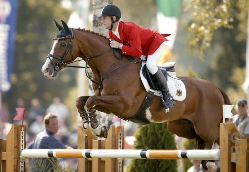 For Pleasure - Hanoverian 1986 by Furioso II