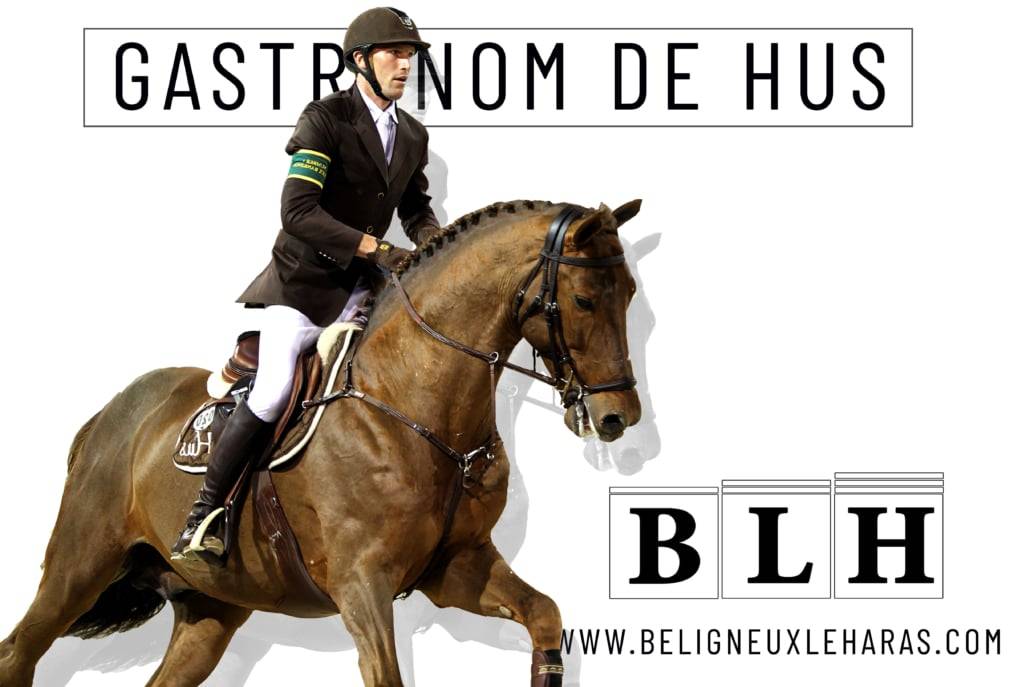 Gastronom de Hus - Zangersheide 1999 by Carthago Z