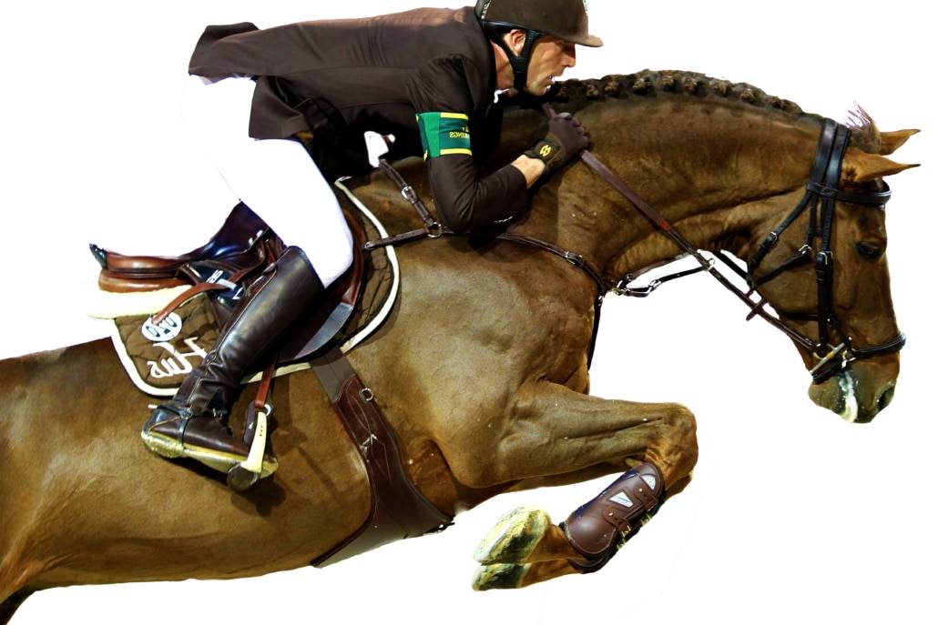 Gastronom de Hus - Zangersheide 1999 by Carthago Z