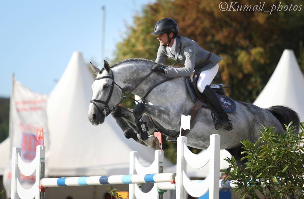 Mumbai - BWP Belgian Warmblood 2012 by DIAMANT DE SEMILLY