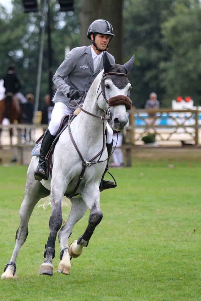 Mumbai - BWP Belgian Warmblood 2012 by DIAMANT DE SEMILLY