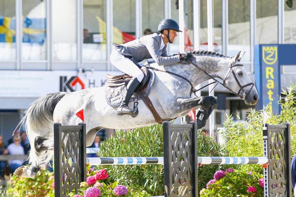 Mumbai - BWP Belgian Warmblood 2012 by DIAMANT DE SEMILLY