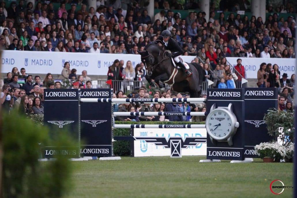 Quel Homme de Hus - Selle Français 2006 by QUIDAM DE REVEL