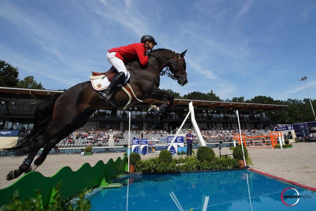 Quel Homme de Hus - Selle Français 2006 by QUIDAM DE REVEL