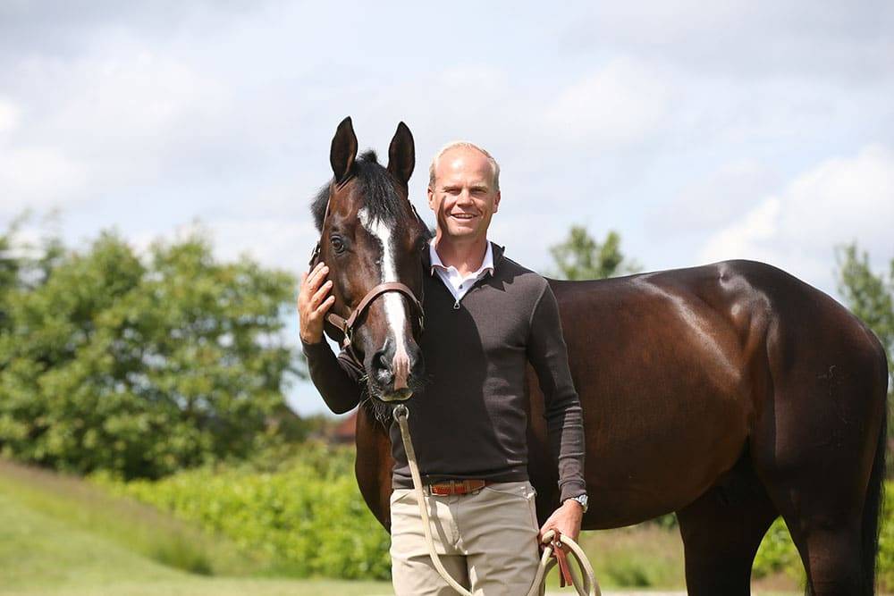 Quel Homme de Hus - Selle Français 2006 by QUIDAM DE REVEL