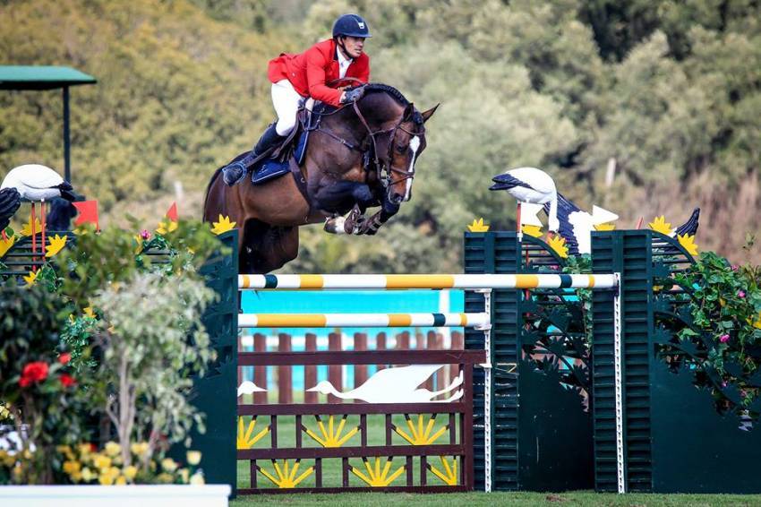 Quel Homme de Hus - Selle Français 2006 by QUIDAM DE REVEL