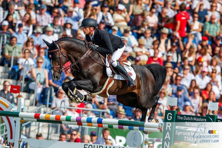 Quel Homme de Hus - Selle Français 2006 by QUIDAM DE REVEL