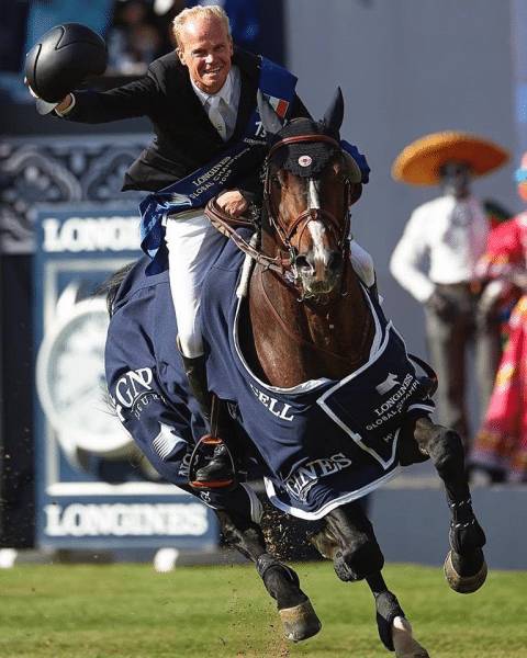 Quel Homme de Hus - Selle Français 2006 by QUIDAM DE REVEL