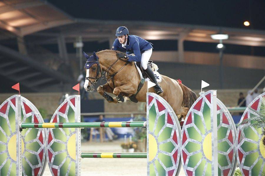 Tobago Z - Zangersheide 2008