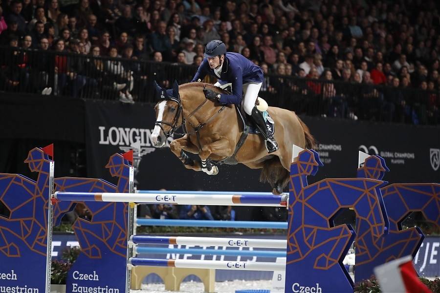 Tobago Z - Zangersheide 2008