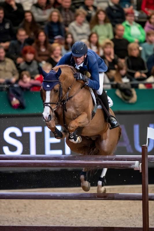 Tobago Z - Zangersheide 2008