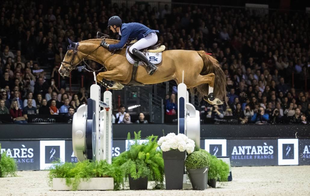 Tobago Z - Zangersheide 2008