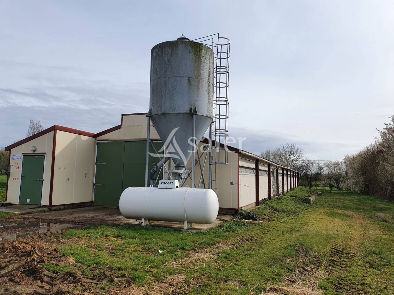 Poultry farm  Sarthe