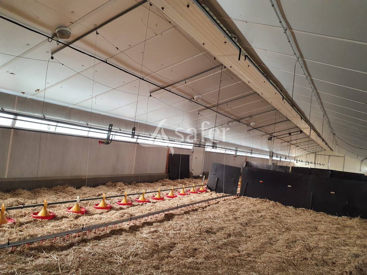 Poultry farm  Sarthe