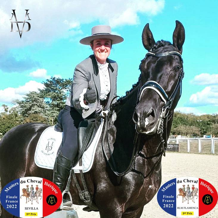 Barquero JF IV - PRE Pure Spanish Bred 2014 by ESCOGIDO J F