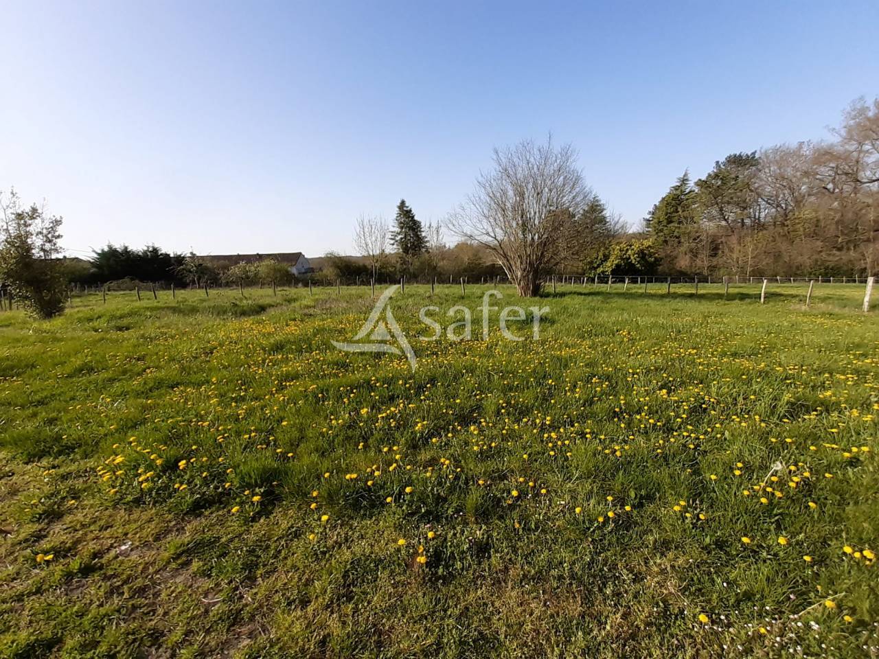 Other agricultural property  Charente