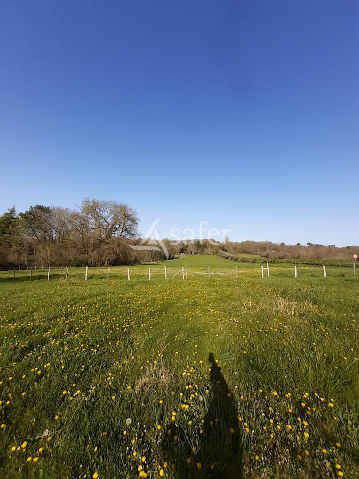 Other agricultural property  Charente