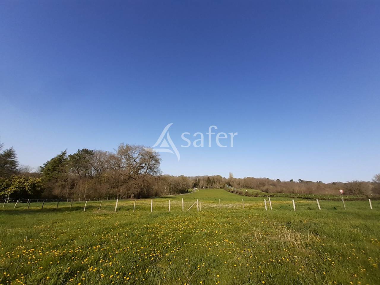 Other agricultural property  Charente