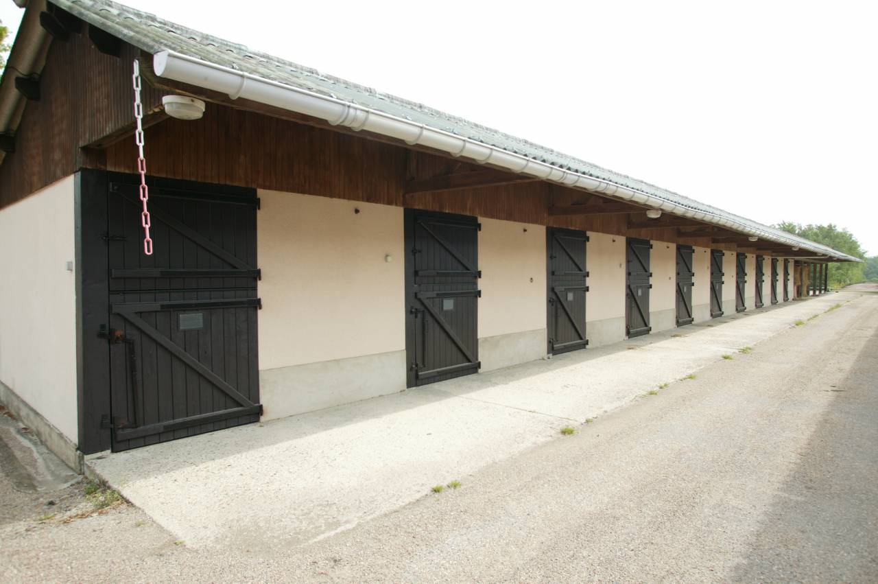 Stud farm  Calvados